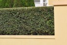 Mount Russellhard-landscaping-surfaces-8.jpg; ?>